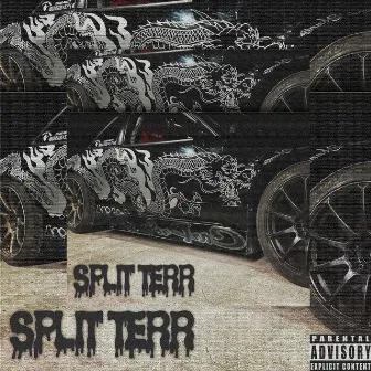 Bitch by Split Terr