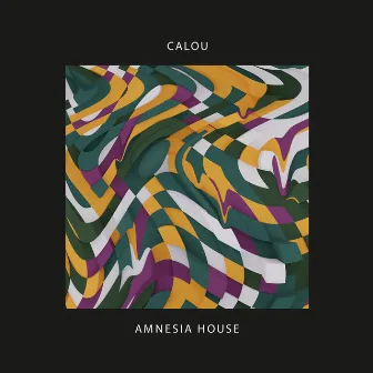 Amnesia House by Calou