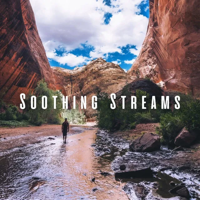 Soothing Streams: Chill Sounds for Meditation