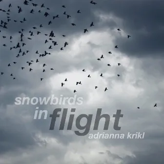 Snowbirds In Flight by Adrianna Krikl