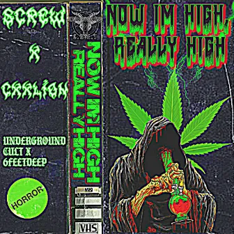 Now I'm High, Really High by SCREW