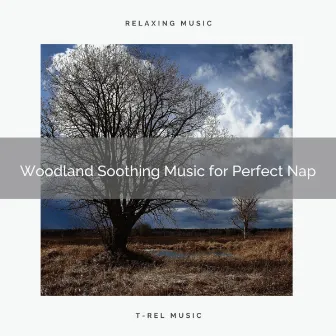 2021 New: Woodland Soothing Music for Perfect Nap by Zen Radio 1