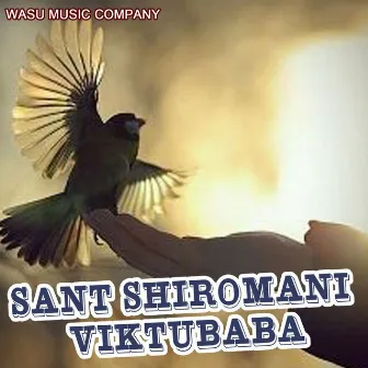 Sant Shiromani Viktubaba by Sunil Waghmare