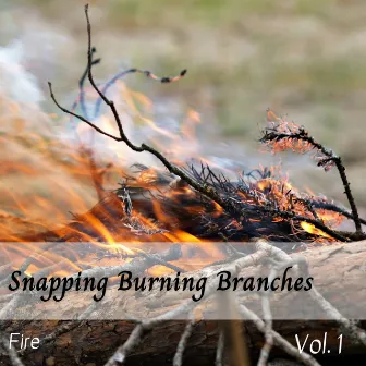 Fire: Snapping Burning Branches Vol. 1 by Nature Sleep