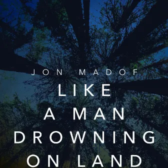 Like a Man Drowning on Land by Jon Madof