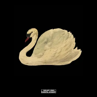 Swan Song by J DOMS