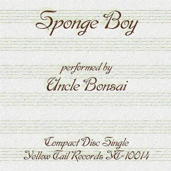 Sponge Boy by Uncle Bonsai