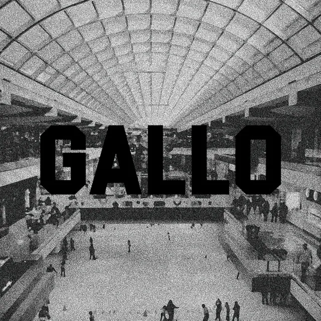 GALLO