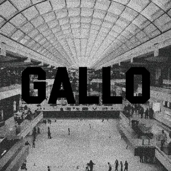 GALLO by Jay Screw