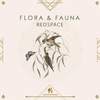 Flora & Fauna by Redspace