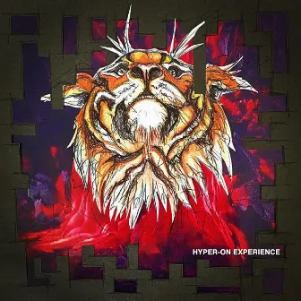 Disturbance Remixes by Hyper On Experience