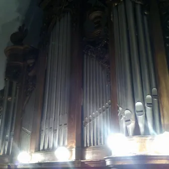 Pipe Organ Music 4: Pieces of L. J. A. Lefebure-Wely, M. G. Fischer, Th. Dubois, Th. Salomé played on the historical pipe organs of Lithuania by Justinas Šapola