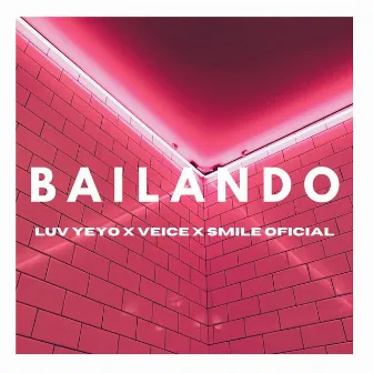 Bailando by Luv Yeyo