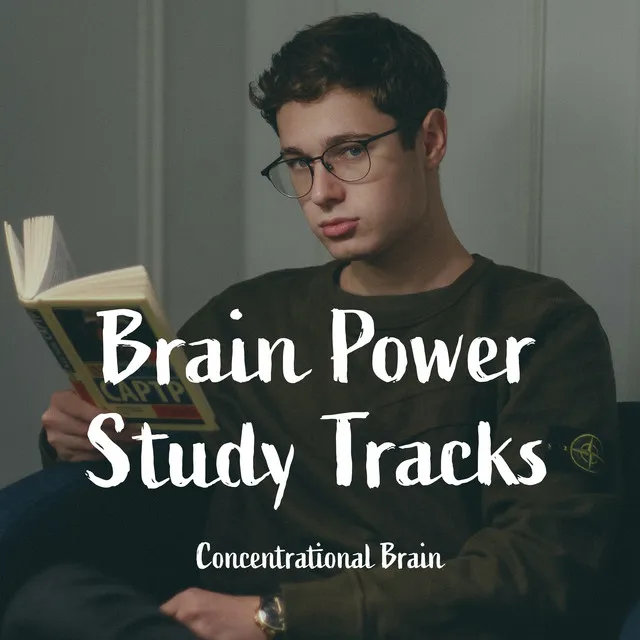 Brain Power Study Tracks