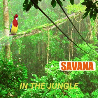 Jungle (In the Jungle) by Savana