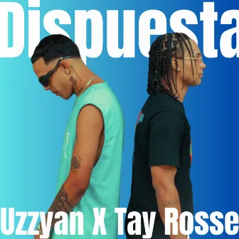 Dispuesta by Tay Rosse