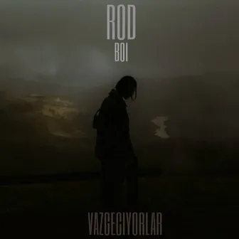 Vazgeçiyorlar by Rodboi