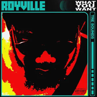 What You Want by Royville