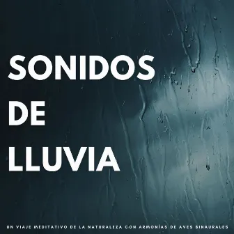 Sonidos De Lluvia: Un Viaje Meditativo De La Naturaleza Con Armonías De Aves Binaurales by 