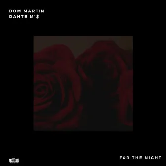 For the Night by Dom Martin