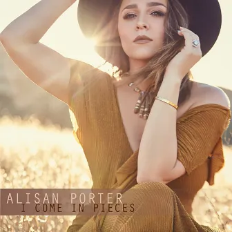 I Come in Pieces by Alisan Porter