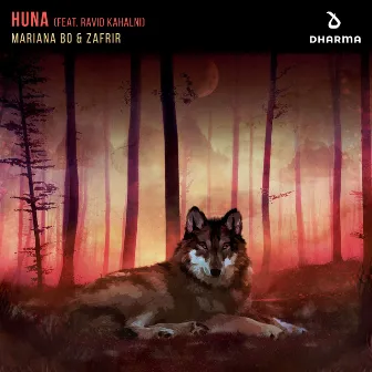 Huna (feat. Ravid Kahalani) by Ravid Kahalani