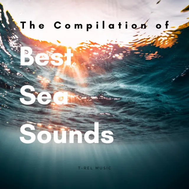 Relax and Sleep Tight with Ocean Sounds