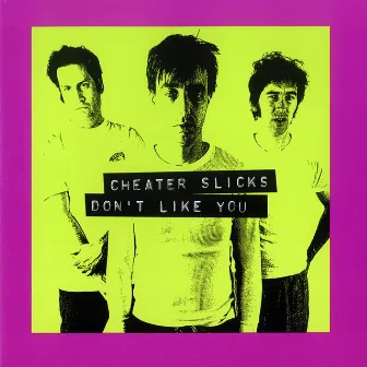 Don't Like You by Cheater Slicks