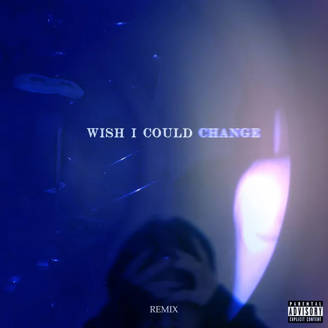 Wish I Could Change (Remix)