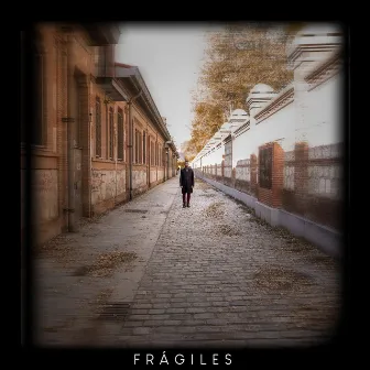 Frágiles (acústico) by Proyecto Ballena