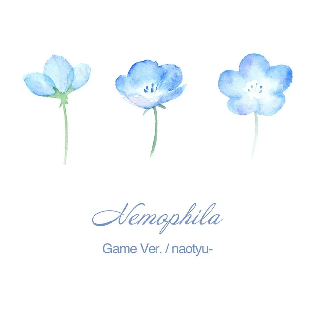 Nemophila