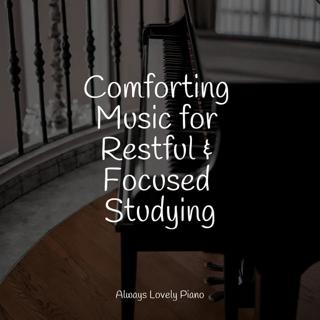 Comforting Music for Restful & Focused Studying