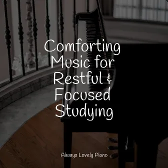 Comforting Music for Restful & Focused Studying by Chilout Piano Lounge