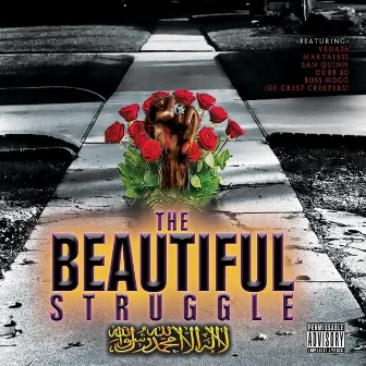 The Beautiful Struggle by B.I.G. Malo