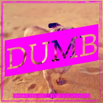 Dumb by Blanq Beatz