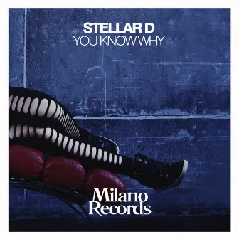 You Know Why by Stellar D