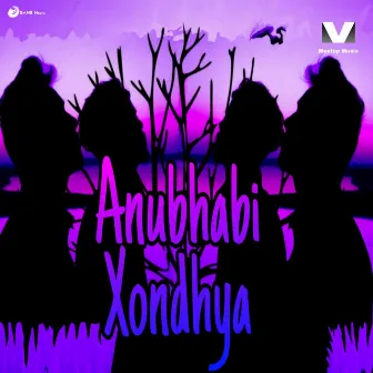 Anubhabi Xondhya by Abhinav