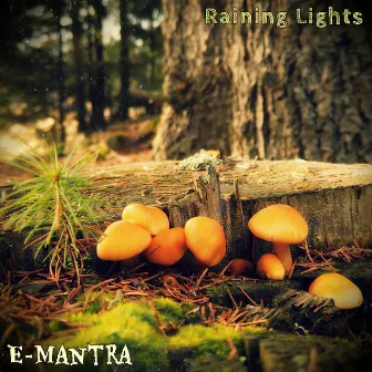 Raining Lights by E-Mantra