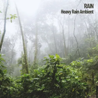 Nature: Heavy Rain Ambient by Rain Sounds Nature Collection