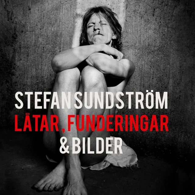 Soundtrack till Låtar, Funderingar & Bilder (Original book soundtrack)