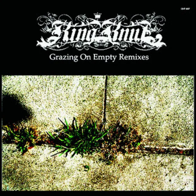 Grazing On Empty - King Knut Remix Two