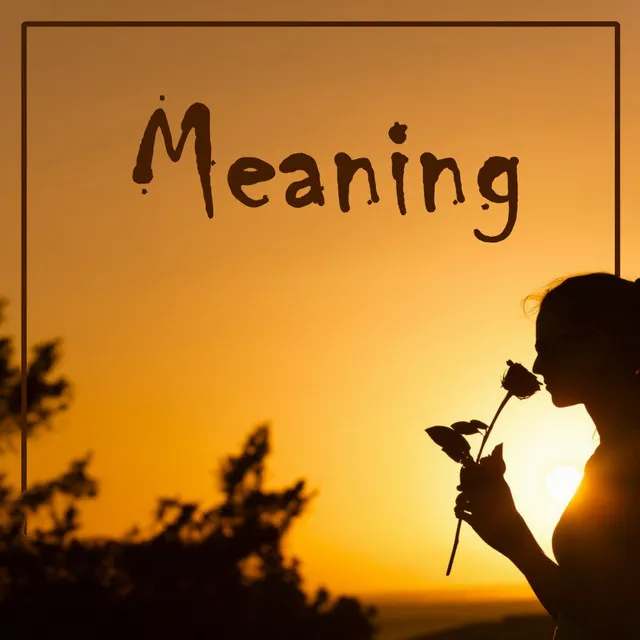 Meaning