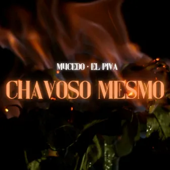 Chavoso Mesmo by Raposa Ladrona