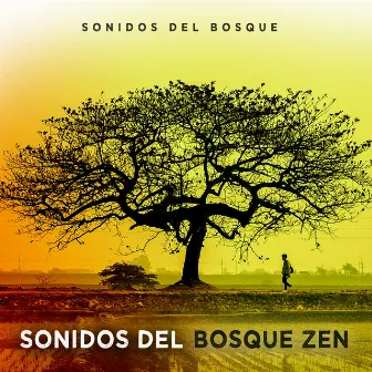 Sonidos del Bosque Zen by Sonidos Del Bosque