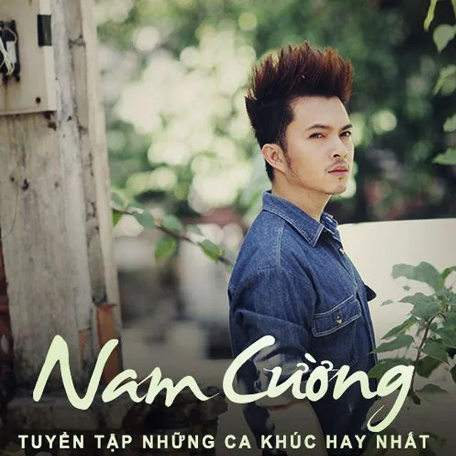 The Best Of Nam Cường