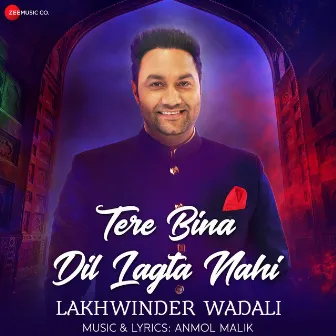 Tere Bina Dil Lagta Nahi by Anmol Malik