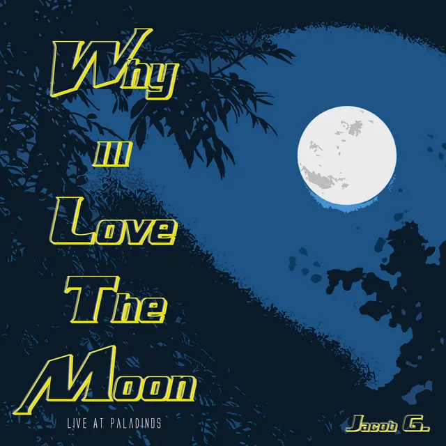 Why iii Love The Moon - Live At Paladinos