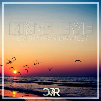 Birds Eye (feat. Nathan Brumley) by CVR