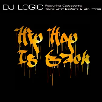 Hip Hop is Back by DJ Logic