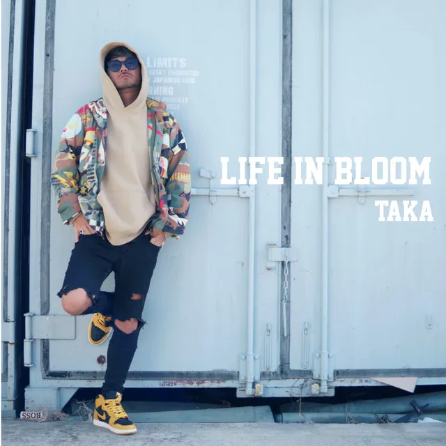 Life in bloom